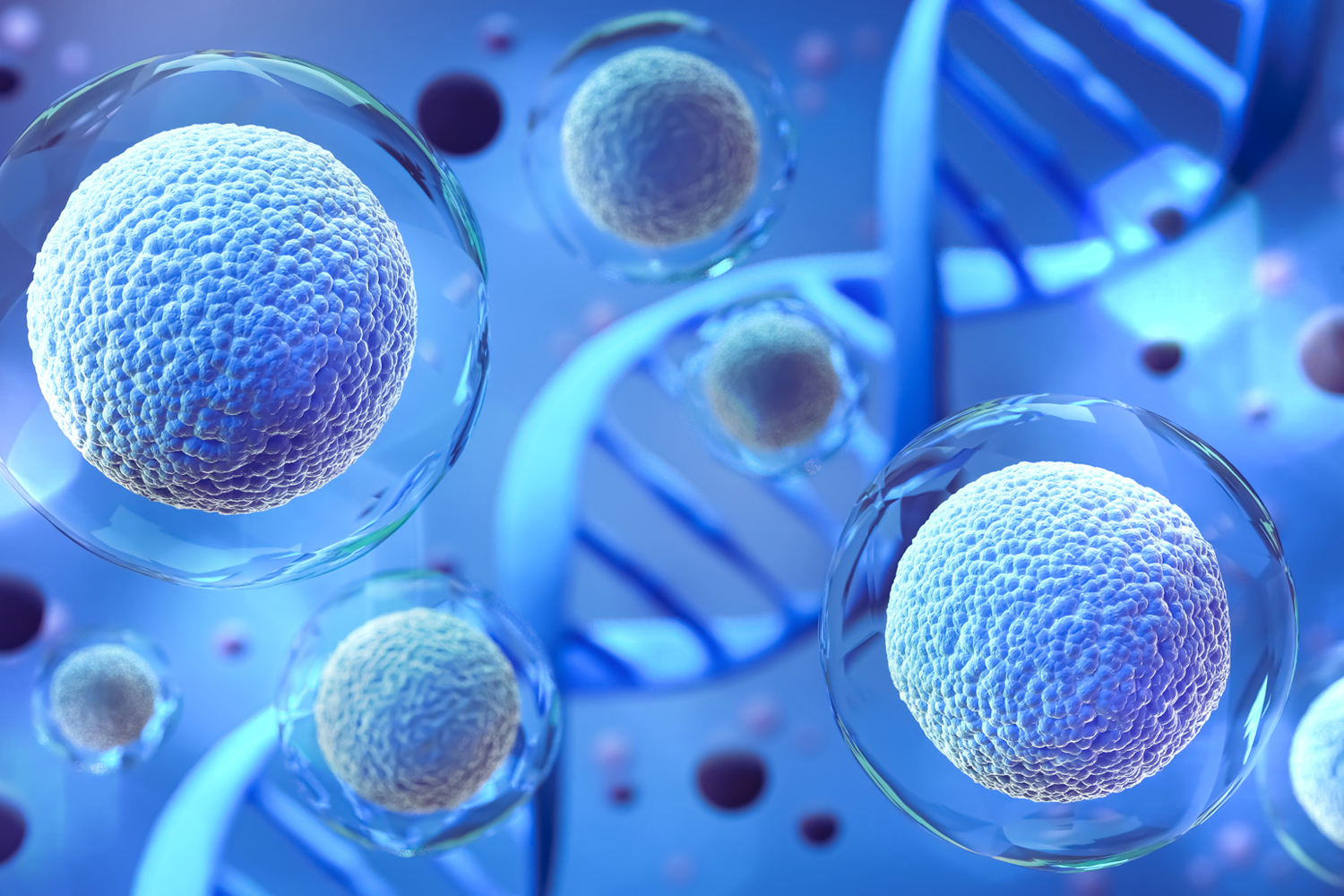 Stem Cell Transplant Rates Decrease for Lymphoma