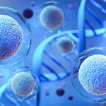 Stem Cell Transplant Rates Decrease for Lymphoma