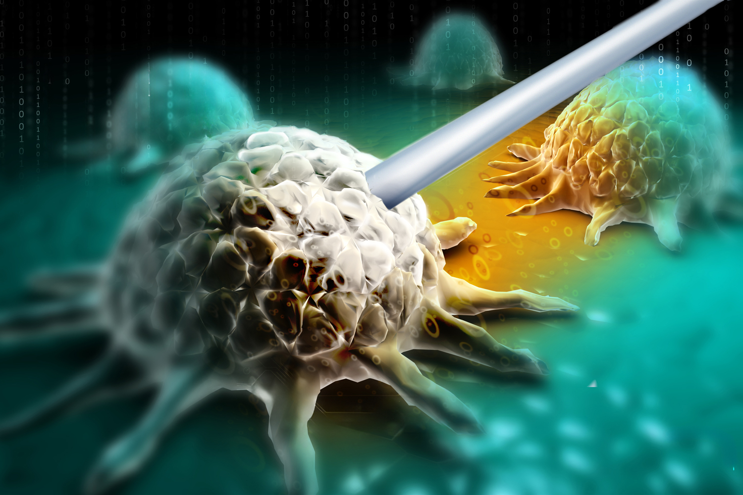 Mobilizing an Immune Response in Metastatic Prostate Cancer