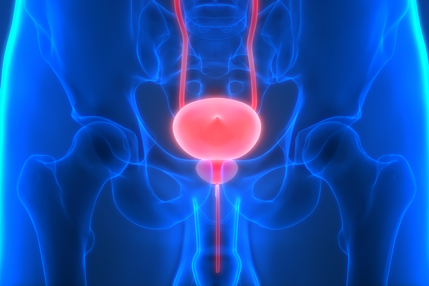 Immunotherapy Improves Survival in Bladder Cancer