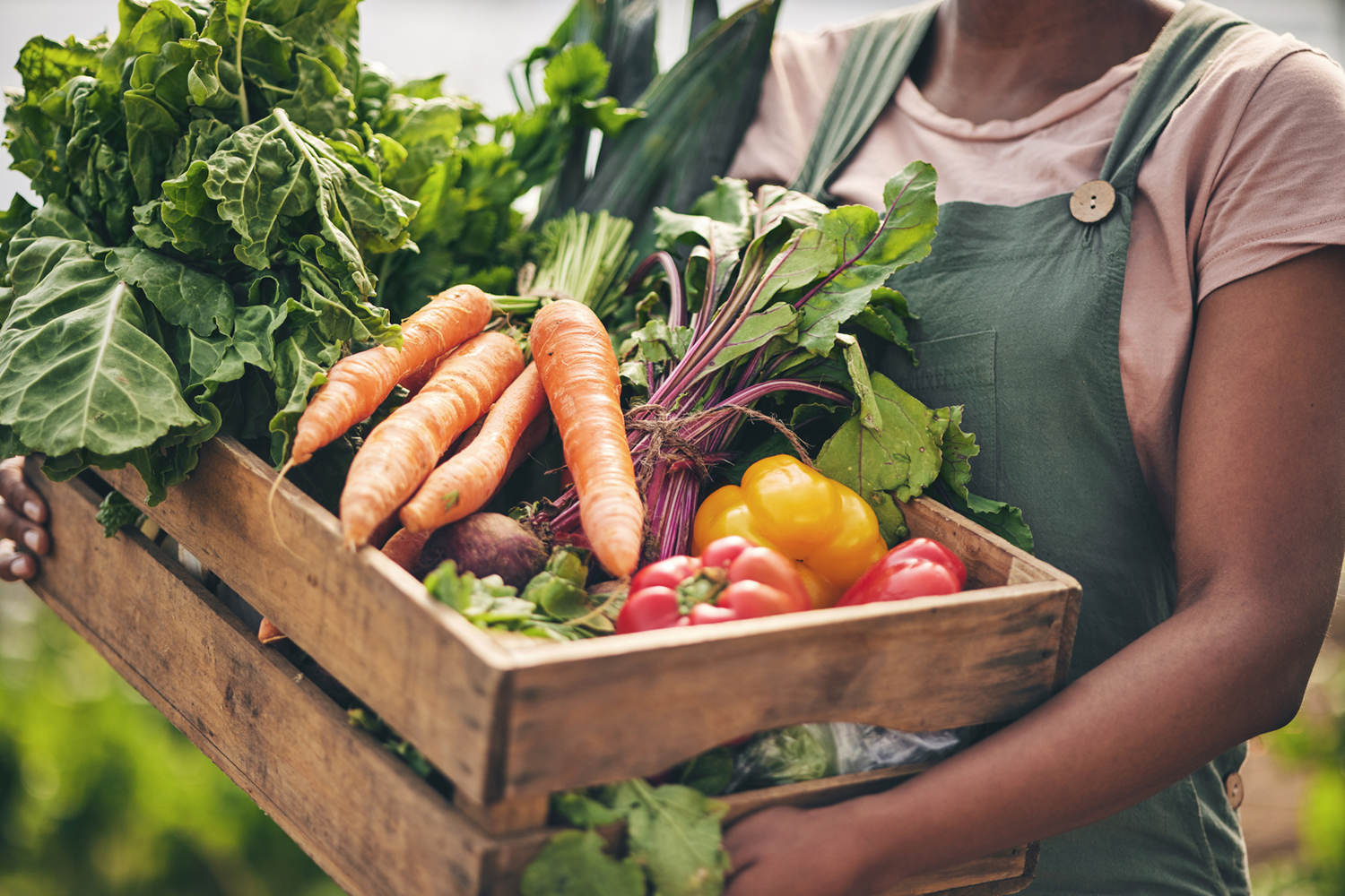 Harvesting Better Health